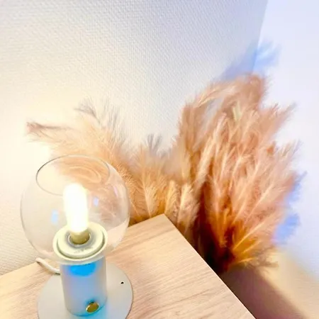 L'Atelier Chic - Wifi Fibre - Parking Privee - Balcon - Netflix Apartment Lanester Exterior photo